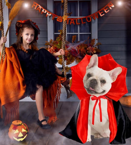 Medium Dog Halloween Costumes, Halloween Dog Vampire Cloak Costume Dog Devil Costume Pet Halloween Costume