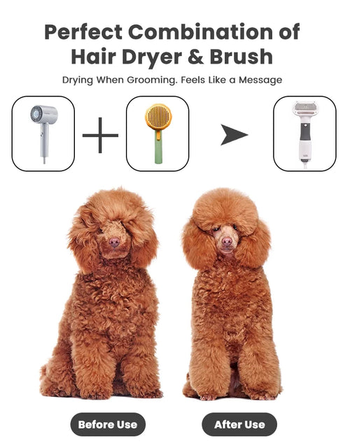 Load image into Gallery viewer, Dog Hair Dryer, 2 in 1 Dog Brush, Pet Grooming Dryer for Small Dog and Cat, Cat Hair Brush with Adjustable Temperature
