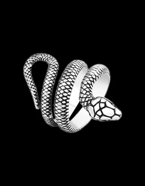 Load image into Gallery viewer, Stainless Steel Snake Ring Retro Vintage Serpent Unisex Biker Punk Ring Size 5-13
